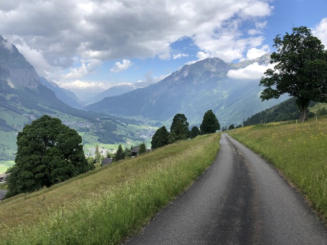 Rennrad, Pässe, Alpen, Pyrenäen, Touren, Schwarzwald, ... - quäldich.de -  Hauptsache bergauf für Rennradfahrer.