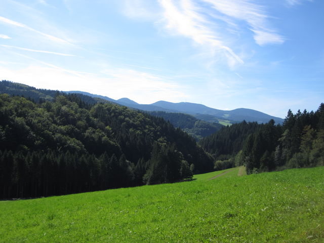Blick zurück zum Brandenkopf., Bild Löcherbergwasen (656 m)