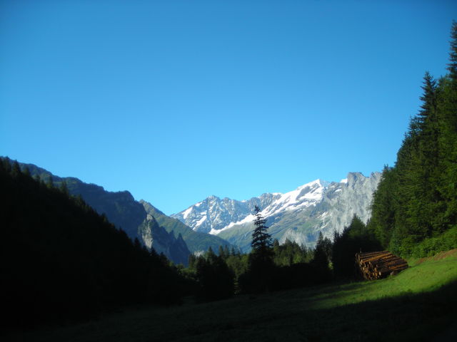 Noch vergletschertes Berner Oberland. 