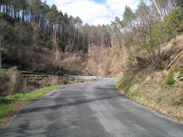 Strasse von der anderen Seite hoch zum [[Passo del Bracco|paesse|passo-del-bracco]].
(März 2009)