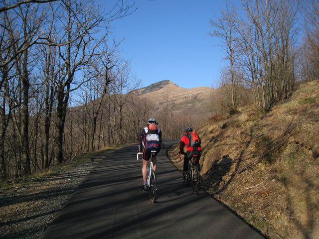 Gelangt man schlussendlich ins Val Graveglia und zurück nach Chiavari.
(März 2009)