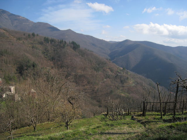 Abfahrt vom [[Passo del Bocco|paesse|passo-del-bocco]].
(März 2009)