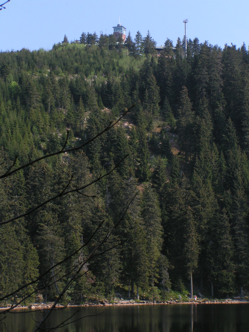 Blick über den Mummelsee zum Aussichtsturm., Bild Hornisgrinde (1150 m)