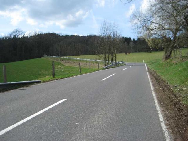 Berghausen (323 m)