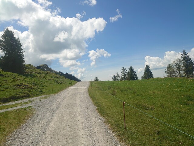 Die fast ebene Fährstraße im weiteren Verlauf zum Berggasthaus weist dann einen etwas gröberen Splitt auf als im Steilstück.